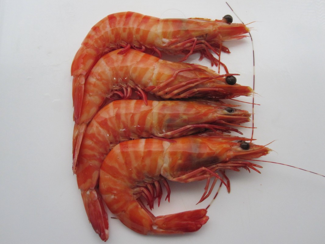 Whole Aussie Prawns And Meat