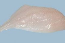 Smooth Dory Fillets