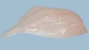 Smooth Dory Fillets
