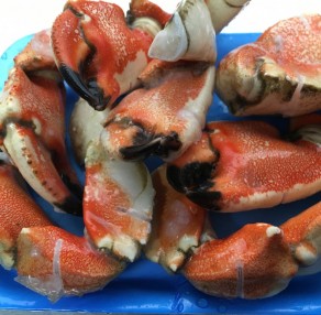 Cooked Jonah Crab Claws