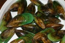 Greenlip Mussels